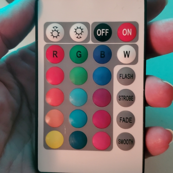 LED LIGHT GLOBE: Dachshund lover mom - Picture 2 of 2